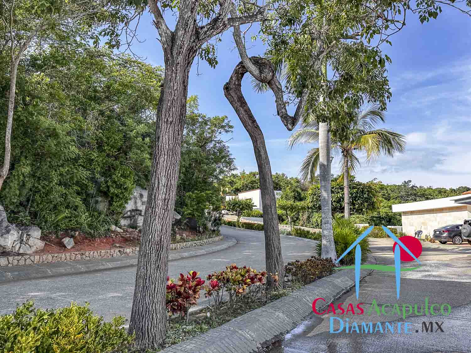 Terreno La Cima LC 34 y 35 - Vialidades La Cima 5 Terreno La Cima LC 34 y 35 - Vialidades La Cima 5